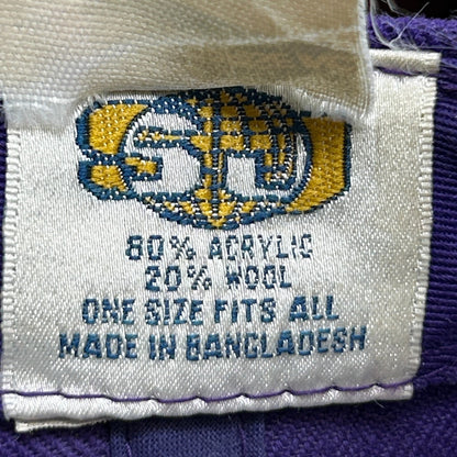 Vintage 90s Minnesota Vikings Hat Cap Purple NFL Snapback Twins Enterprise