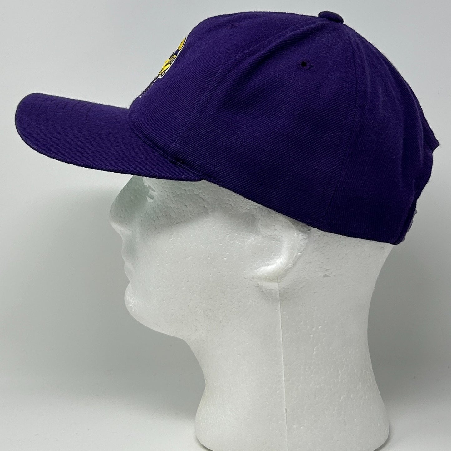 Vintage 90s Minnesota Vikings Hat Cap Purple NFL Snapback Twins Enterprise