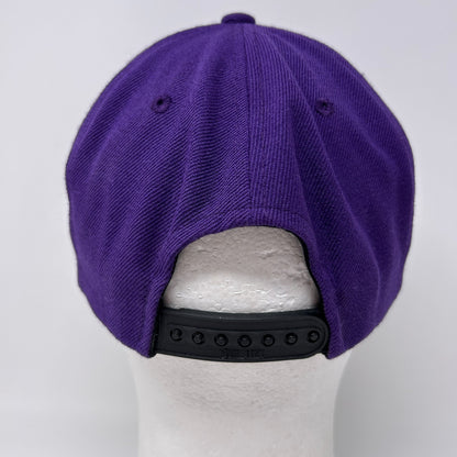 Vintage 90s Minnesota Vikings Cris Carter Hat Baseball Cap Purple NFL Snapback