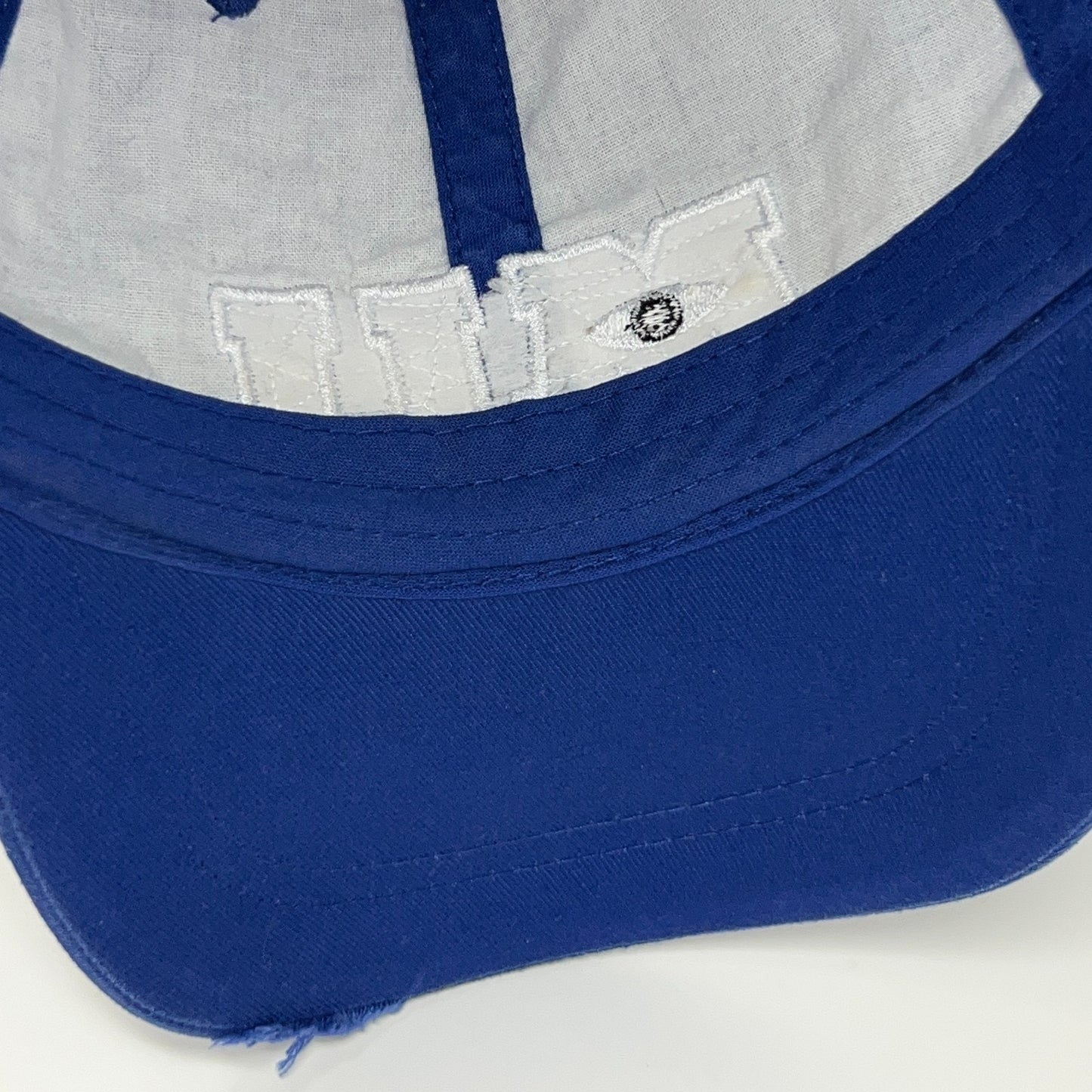 Monsters University MU Hat Baseball Cap Disney Parks Monsters Inc Strapback Blue