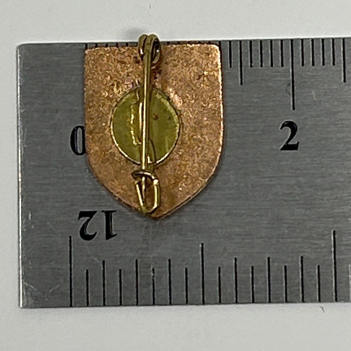 Vintage Salzburg Coat of Arms Hat Lapel Pin Pinback Button Austria Travel