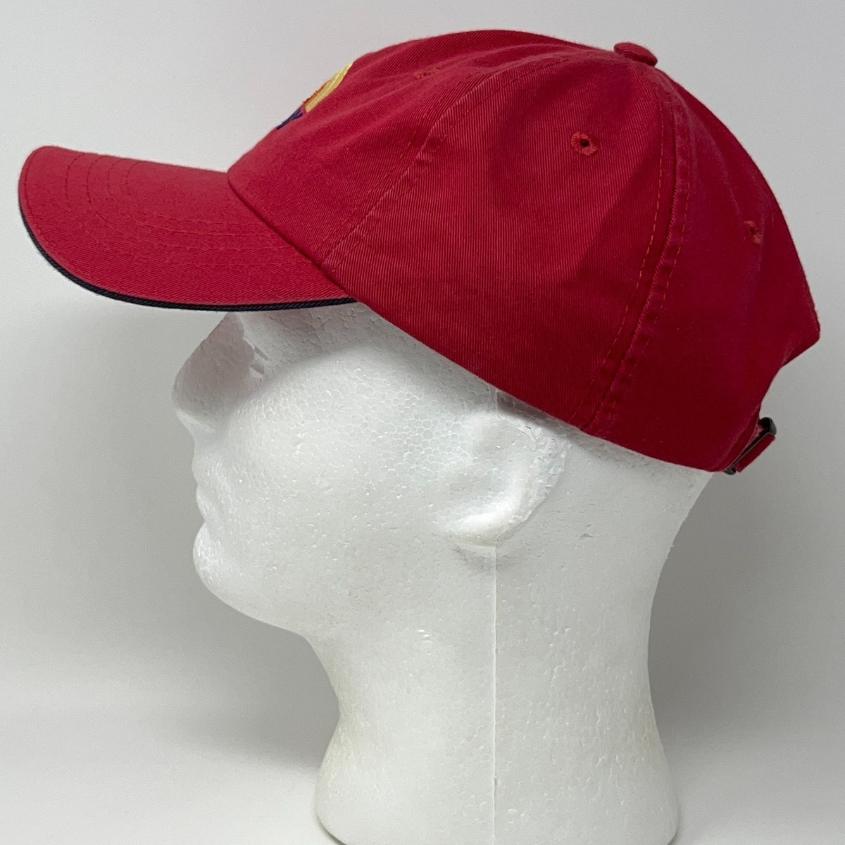 NBC Today Show Rainbow Logo Dad Hat Red Strapback Baseball Cap Adult Adjustable