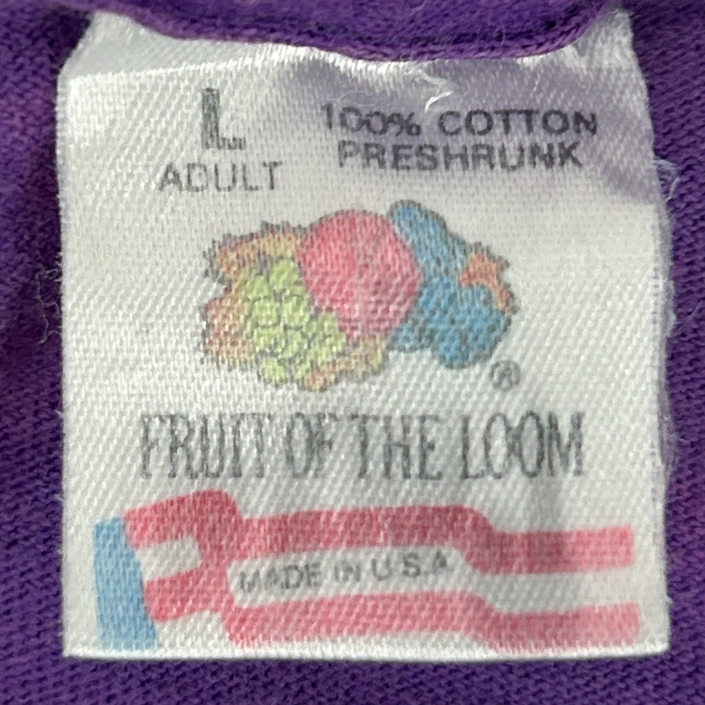 Vintage Fairbanks Alaska Mountain Biking T Shirt Mens L Large Purple 90s Biker