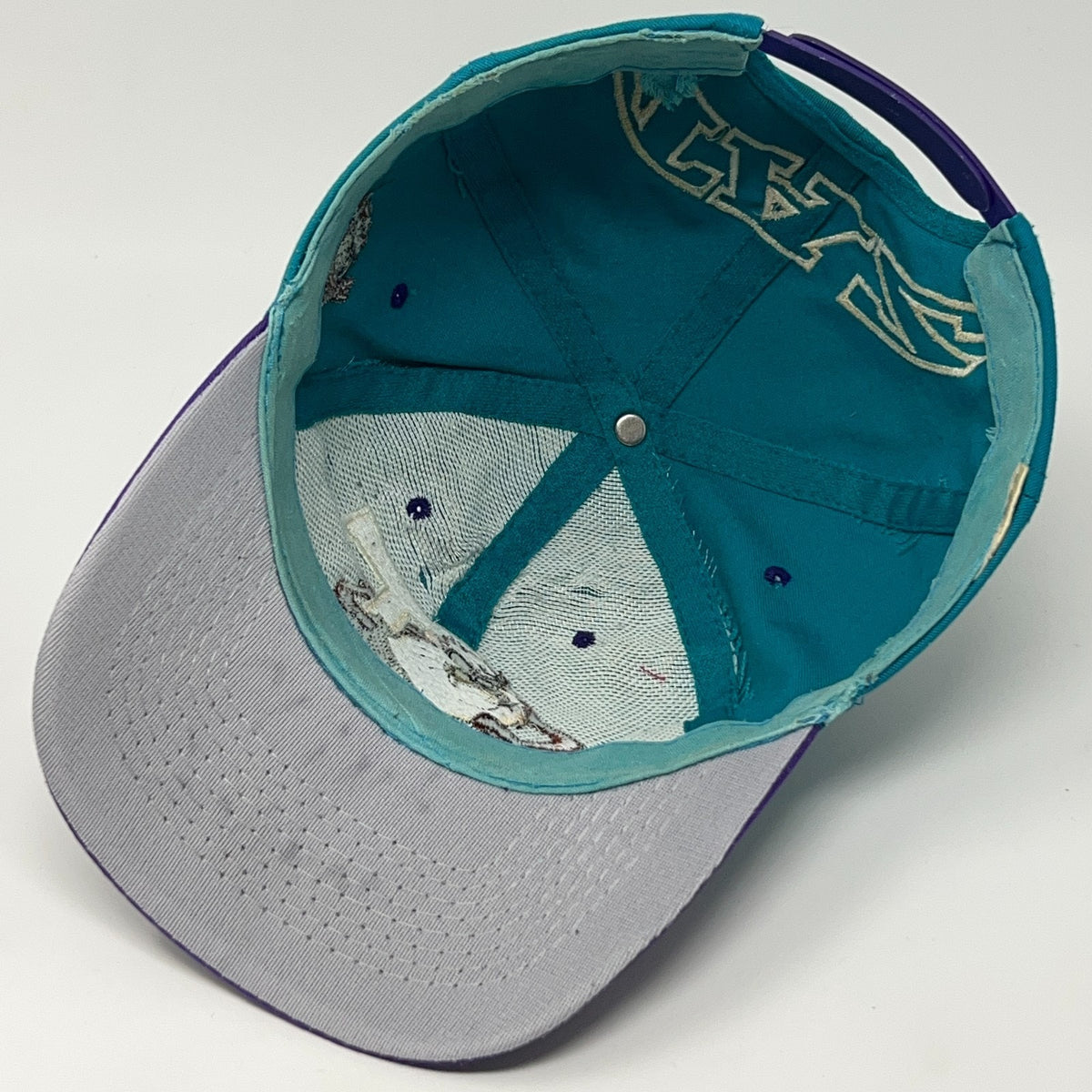 Vintage Taz Tasmanian Devil Teal Purple Snapback Hat Baseball Cap Looney Tunes