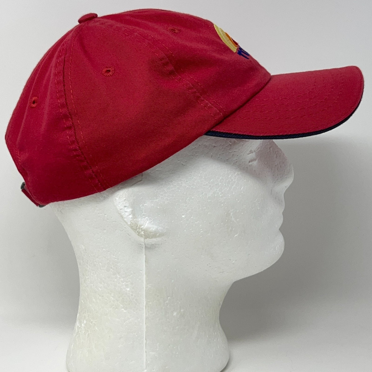 NBC Today Show Rainbow Logo Dad Hat Red Strapback Baseball Cap Adult Adjustable