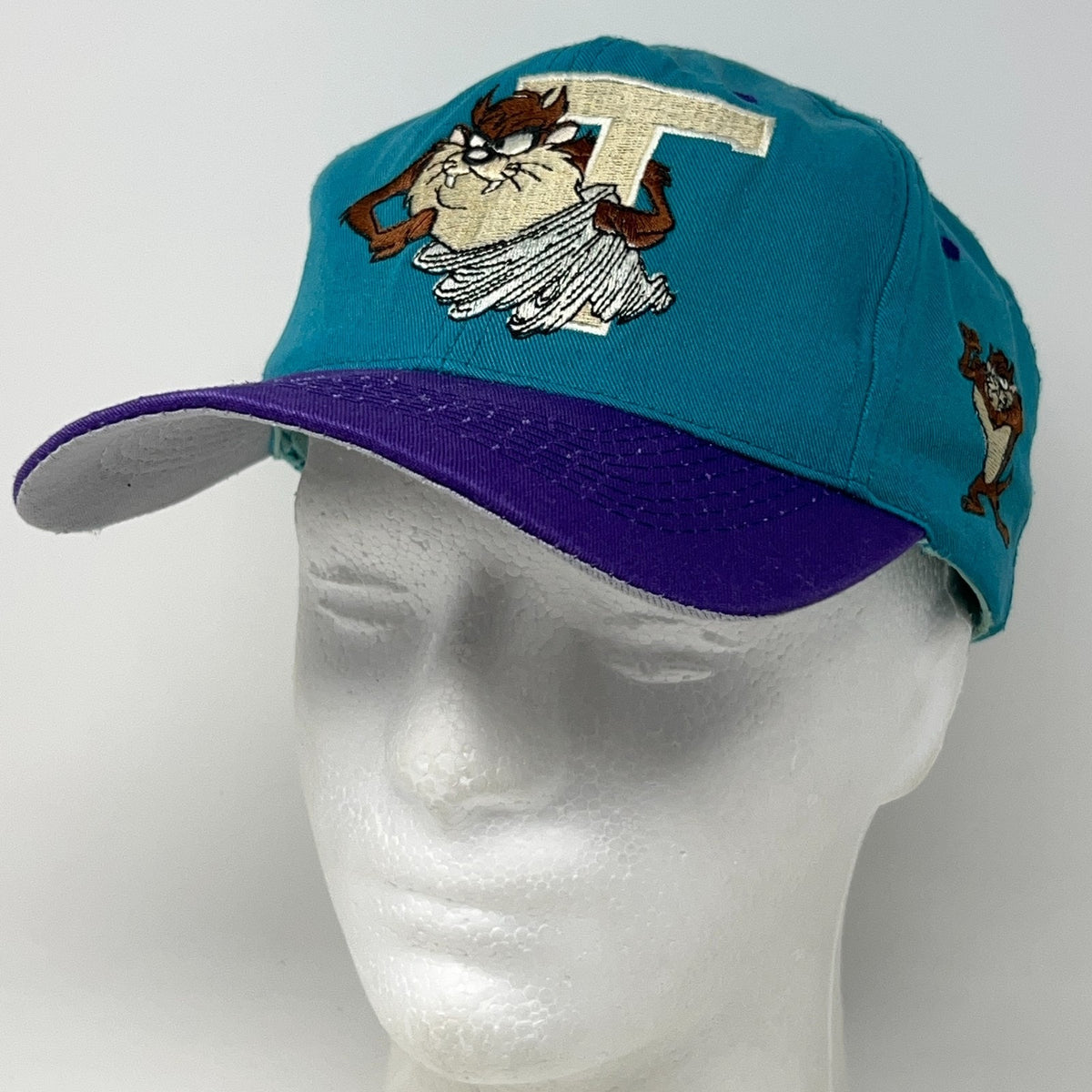 Vintage Taz Tasmanian Devil Teal Purple Snapback Hat Baseball Cap Looney Tunes