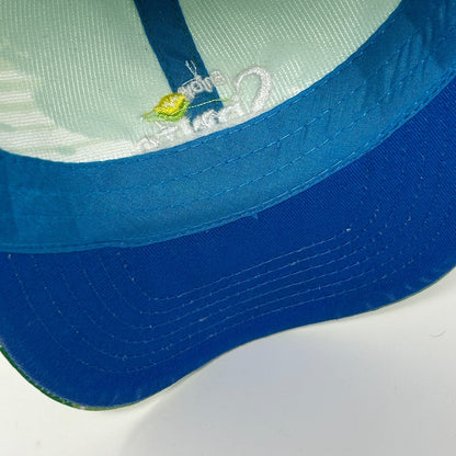 Enjoy Sprite x Staple Pigeon Dad Hat Baseball Cap Soda 6 Panel Strapback Green