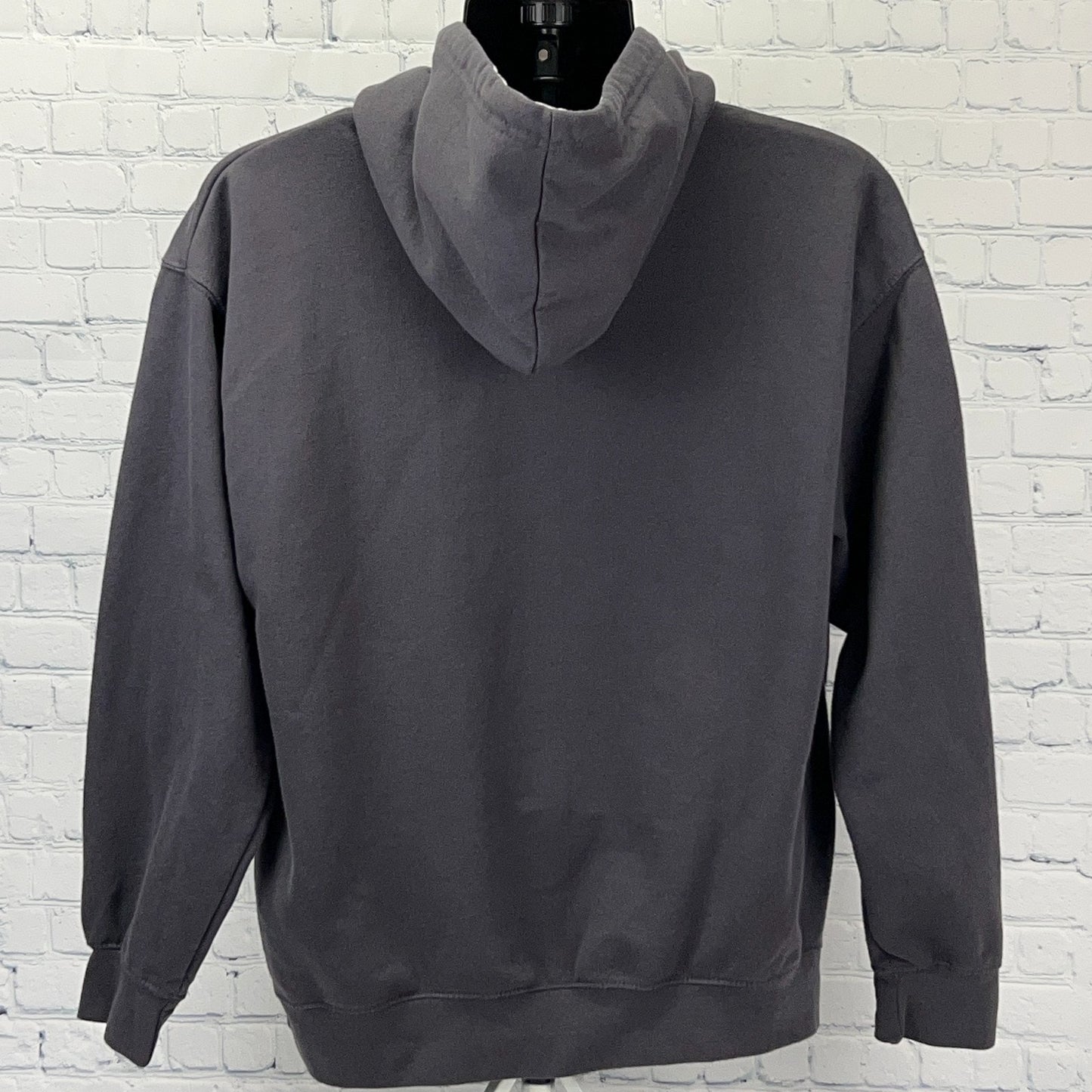 Juneau Alaska Hoodie L Large Gray Hooded Sweatshirt Travel Tourist Tourism