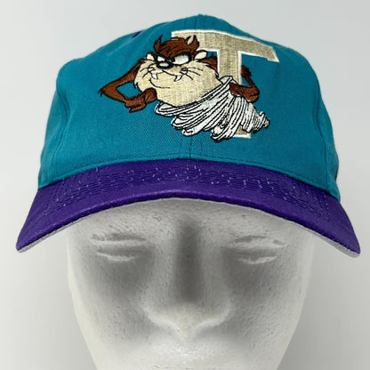 Vintage Taz Tasmanian Devil Teal Purple Snapback Hat Baseball Cap Looney Tunes