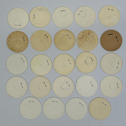 Lot of 24 Hawaii Milk Caps Pogs Vintage 90s Hawaiian Advertising Game 1993