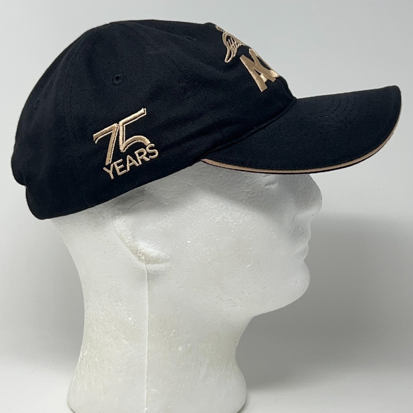 AOPA Aircraft Owners Pilots Assoc Dad Hat Baseball Cap 75 Years Strapback Black