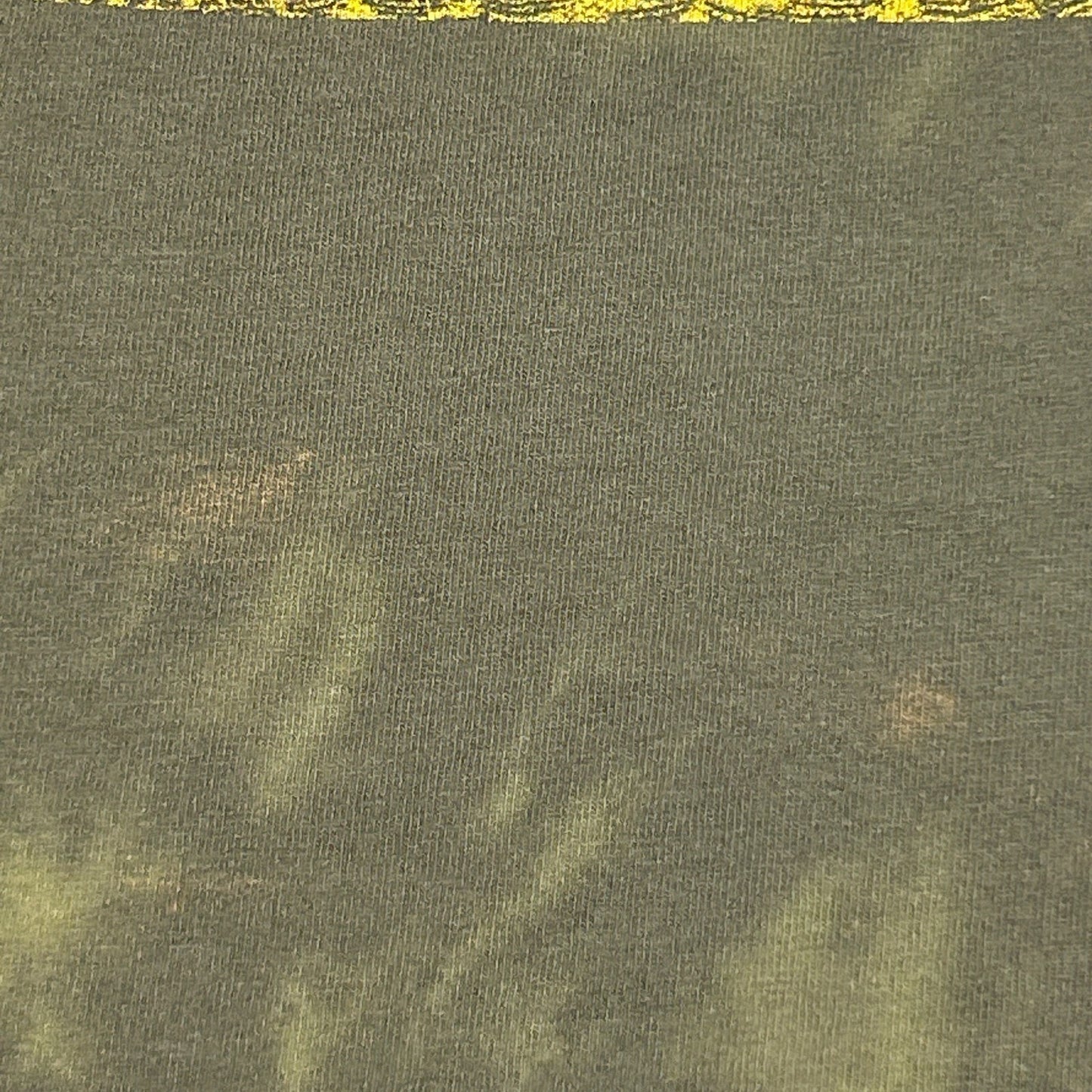 Vintage 90s Jimmy Buffett Barometer Soup Tour T Shirt 1995 Concert Green L Large