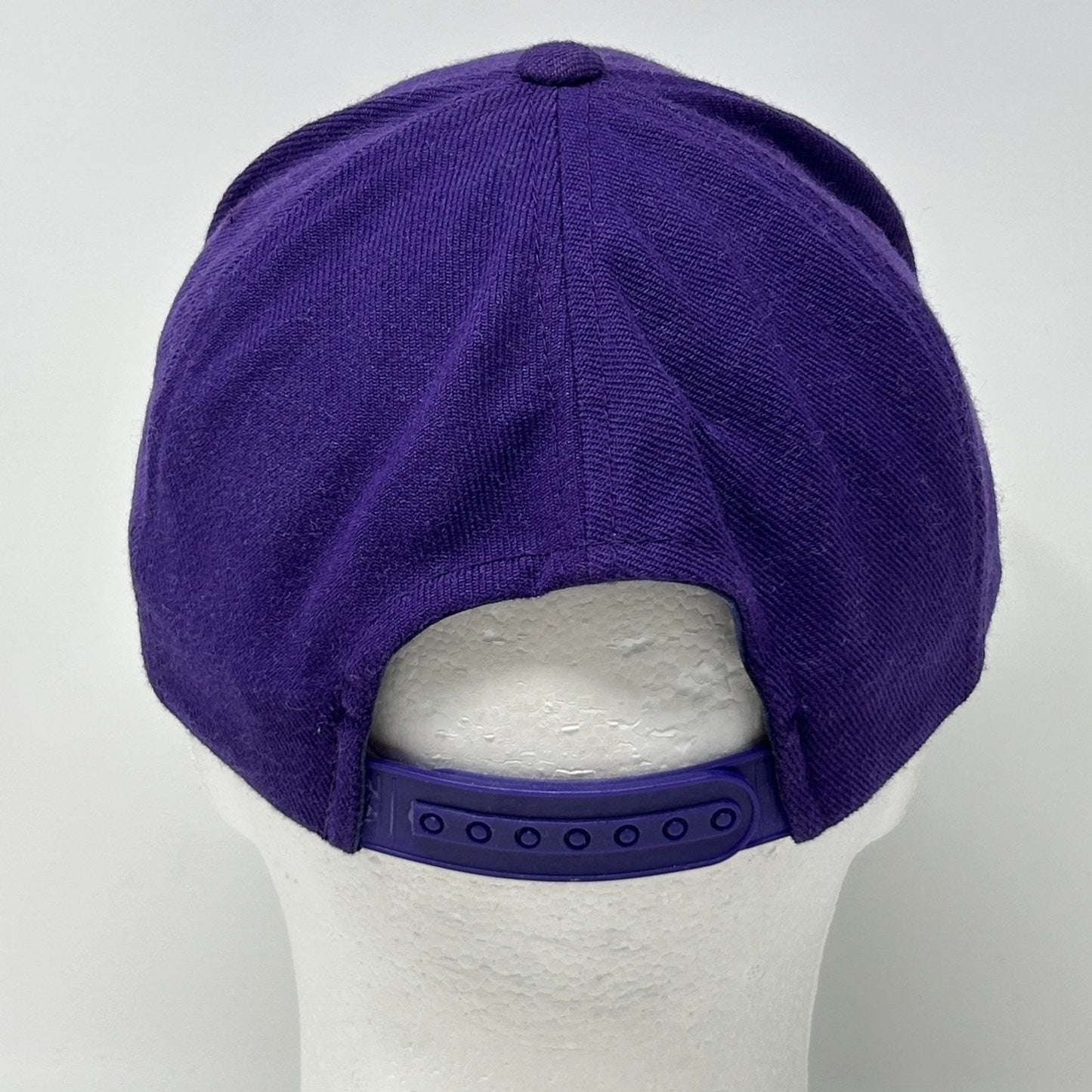 Vintage 90s Minnesota Vikings Hat Cap Purple NFL Snapback Twins Enterprise