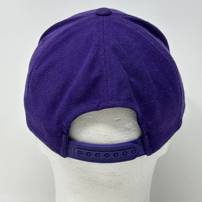 Vintage 90s Minnesota Vikings Hat Cap Purple NFL Snapback Twins Enterprise