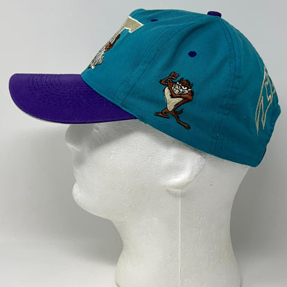 Vintage Taz Tasmanian Devil Teal Purple Snapback Hat Baseball Cap Looney Tunes