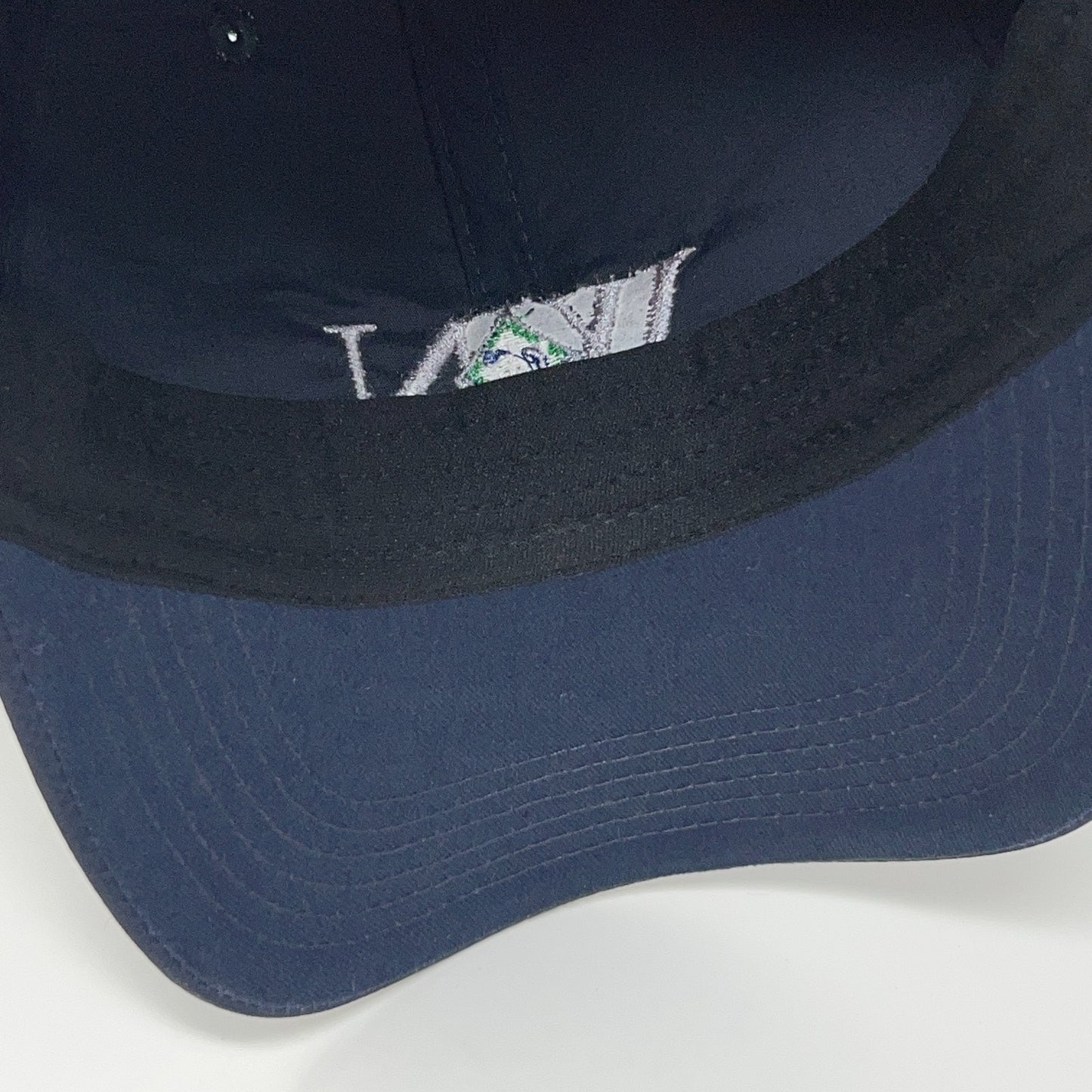 Waste Connections Womens Network Hat Baseball Cap Ahead 6 Panel Strapback Blue