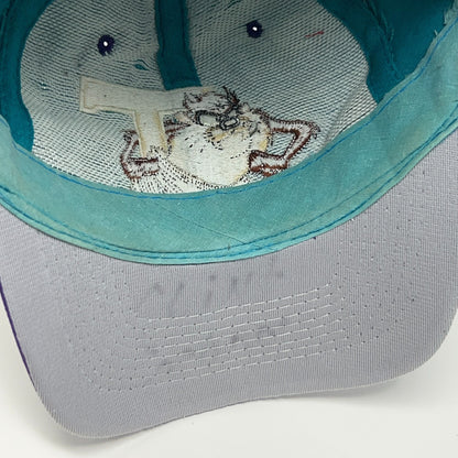 Vintage Taz Tasmanian Devil Teal Purple Snapback Hat Baseball Cap Looney Tunes