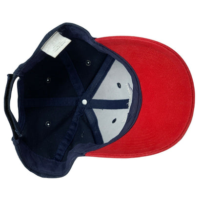 Gorra de béisbol con correa trasera de 6 paneles Texan Longhorn Blue de Lone Star State of Texas