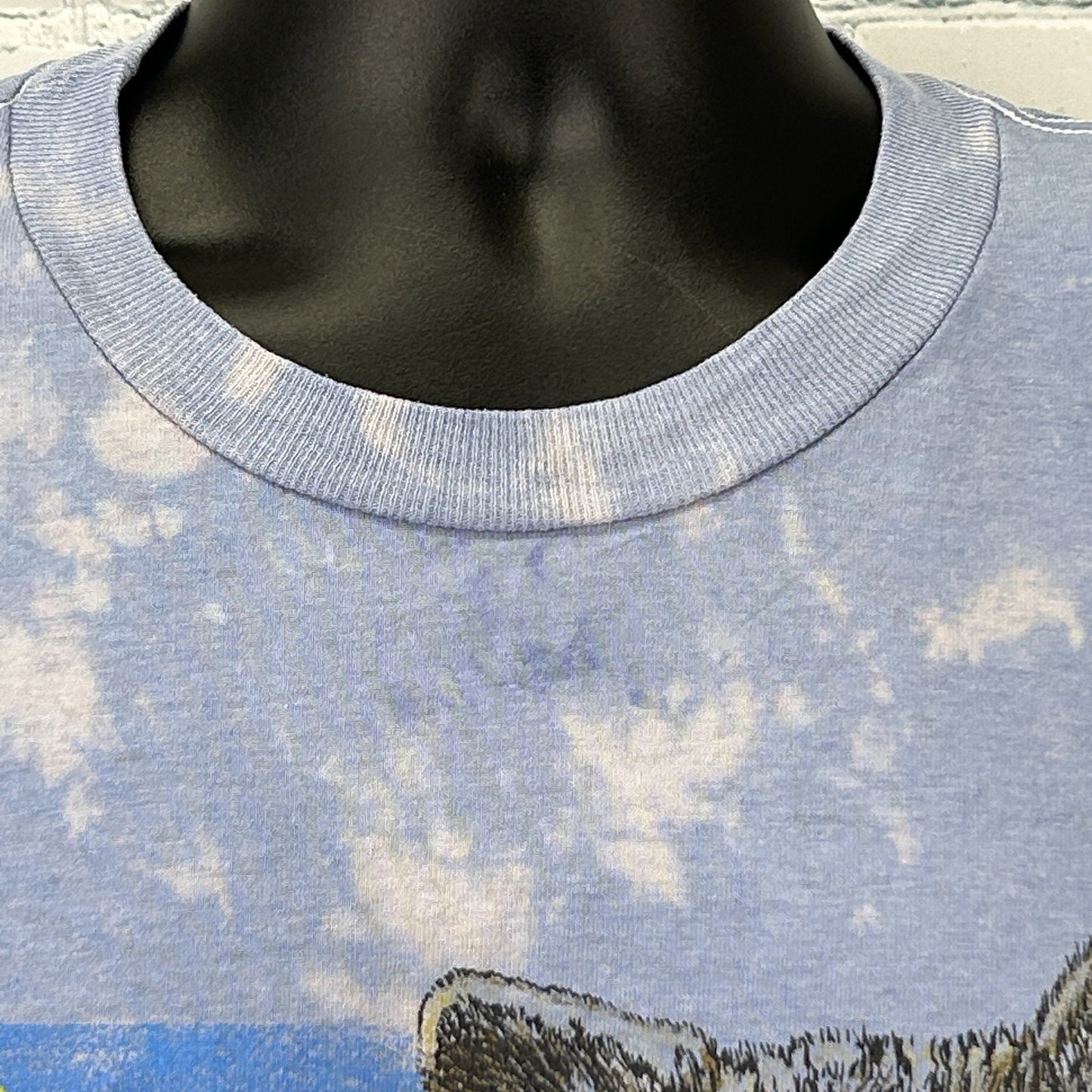 Vintage 90s Canis Lupus Wolf T Shirt Wolves Preserve Protect USA Blue XL X-Large