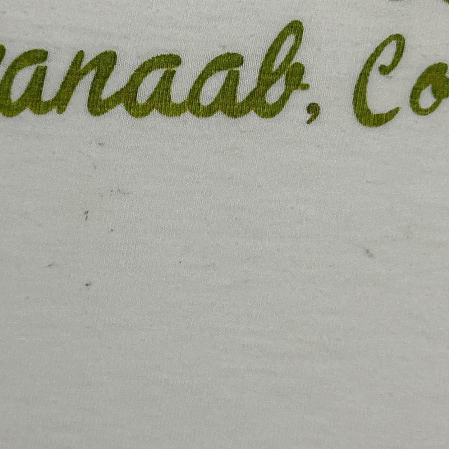 Vintage 80s Chankanaab Cozumel Mexico T Shirt Travel Tourist Tee White M Medium