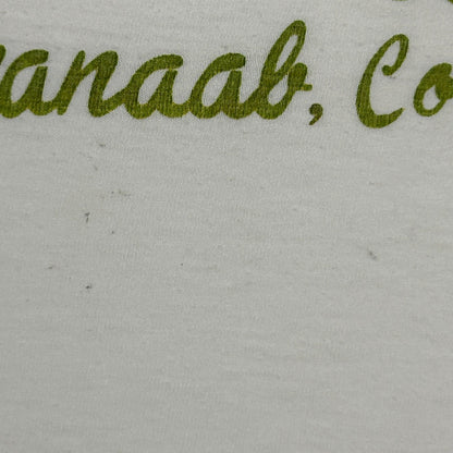 Vintage 80s Chankanaab Cozumel Mexico T Shirt Travel Tourist Tee White M Medium