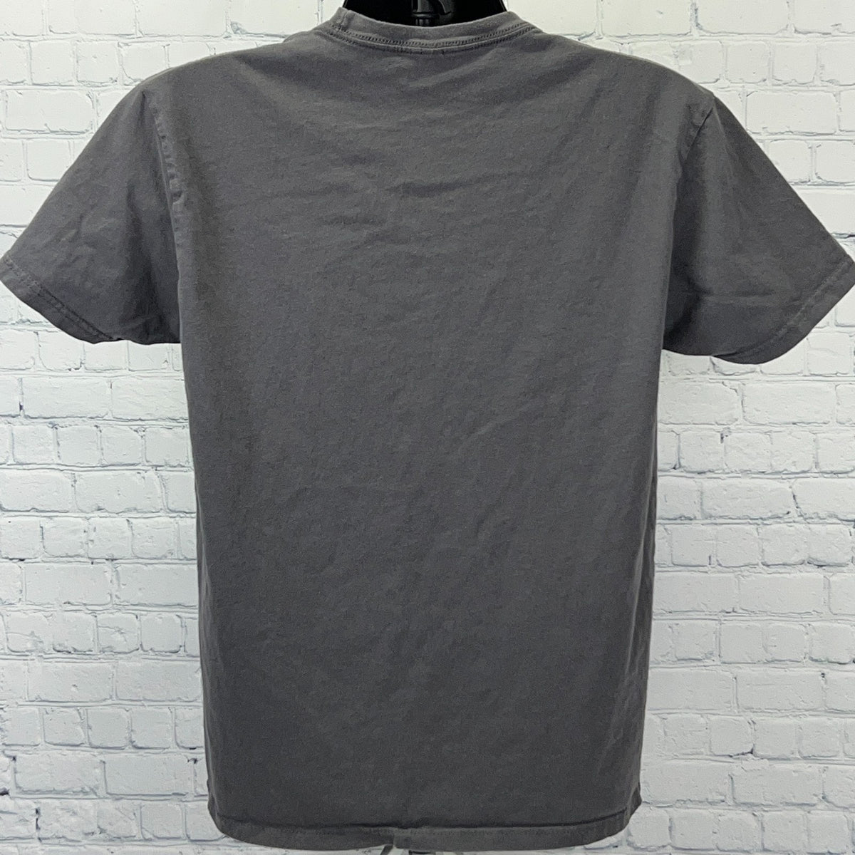 Modest Mouse Bison Skeleton T Shirt L Large Indie Rock Band Tee Next Level Gray