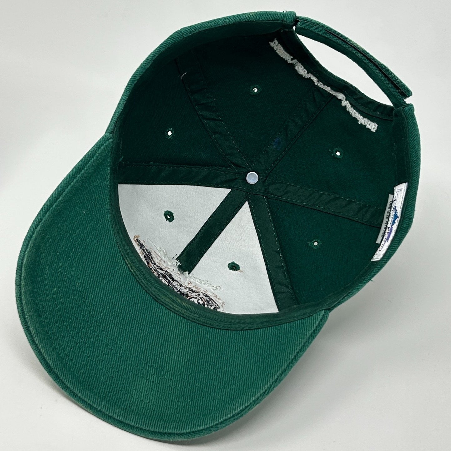 Grizzly Bear Disneys California Adventure Hat Baseball Cap Strapback Green