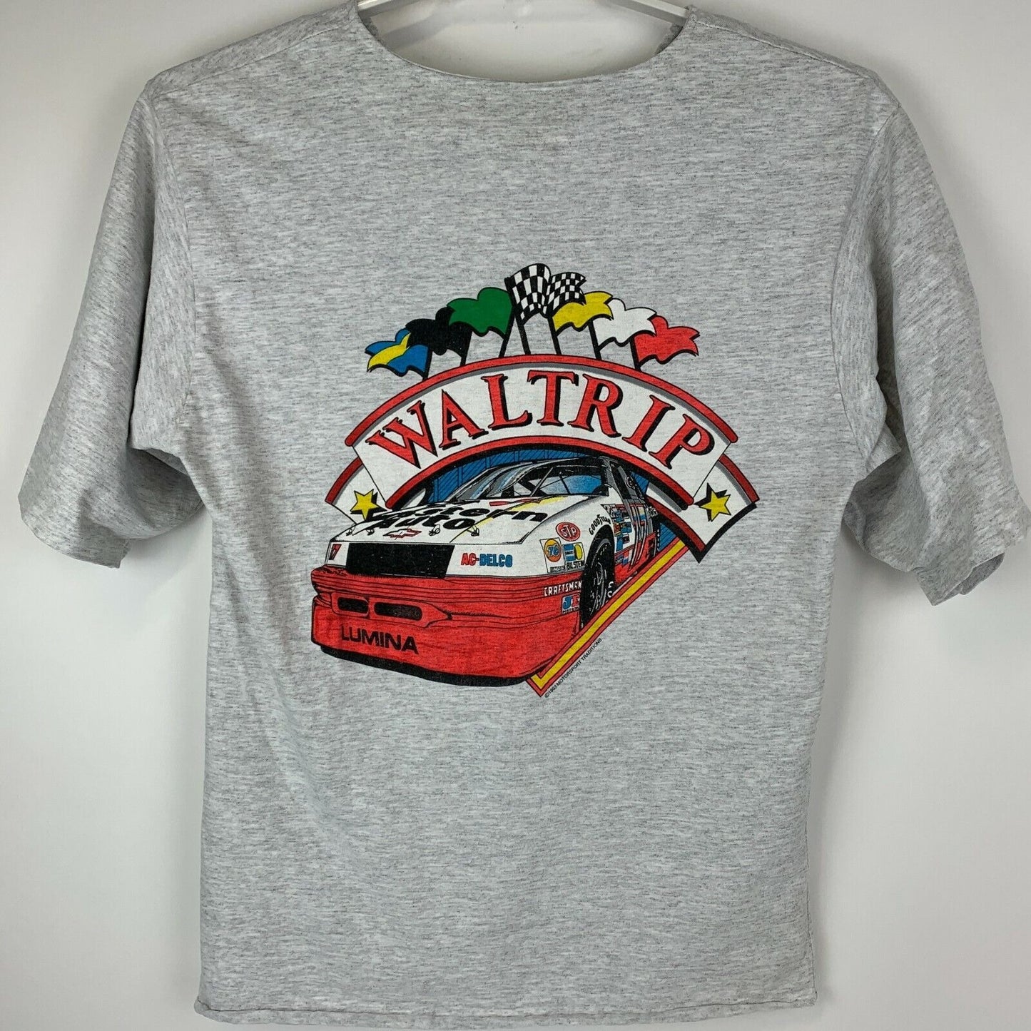 Camiseta vintage de NASCAR de Darrell Waltrip para hombre, talla mediana 17, estilo Western Auto, años 90, EE. UU., gris