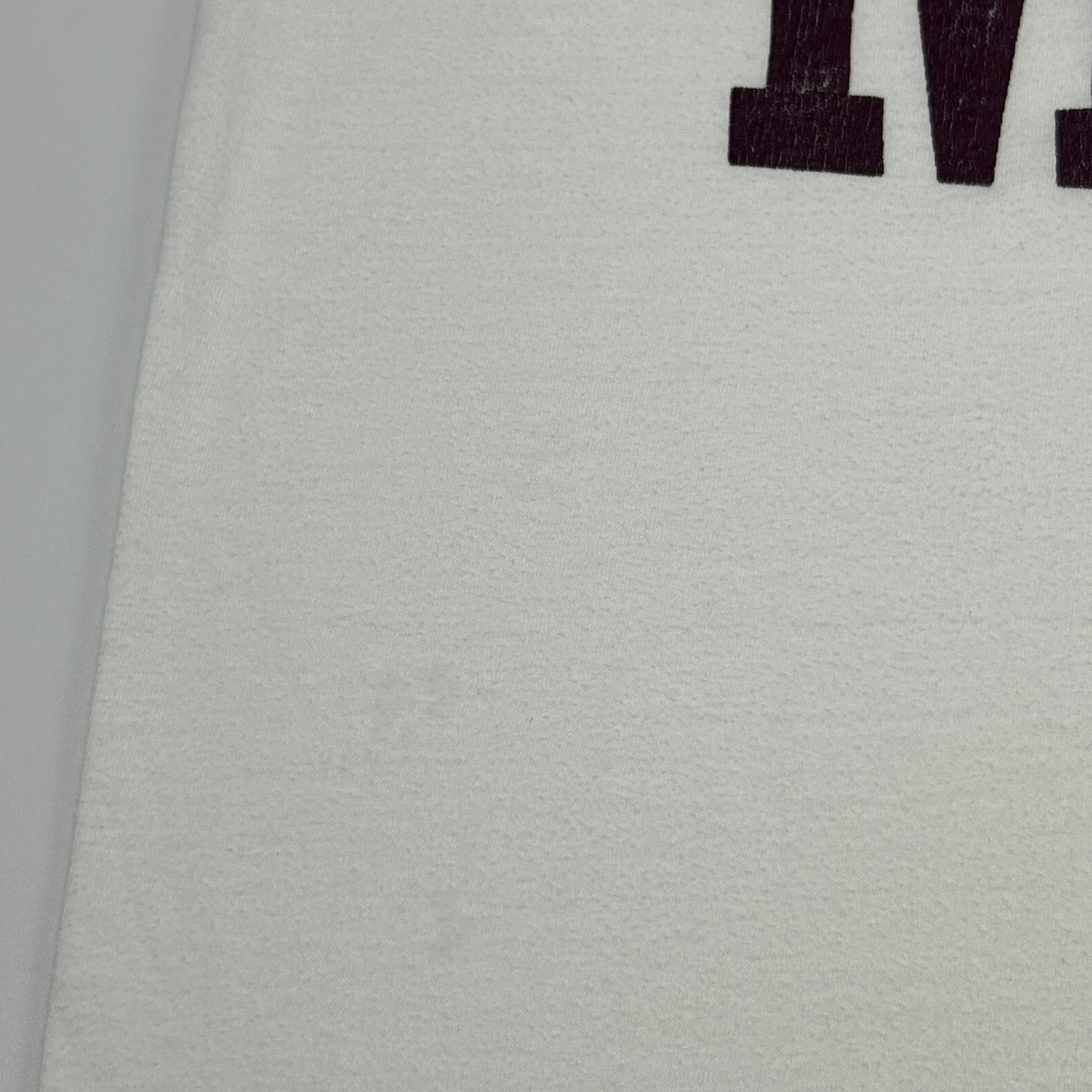 Vintage 80s Central Michigan University Sleep T Shirt CMU Chippewas White OSFA