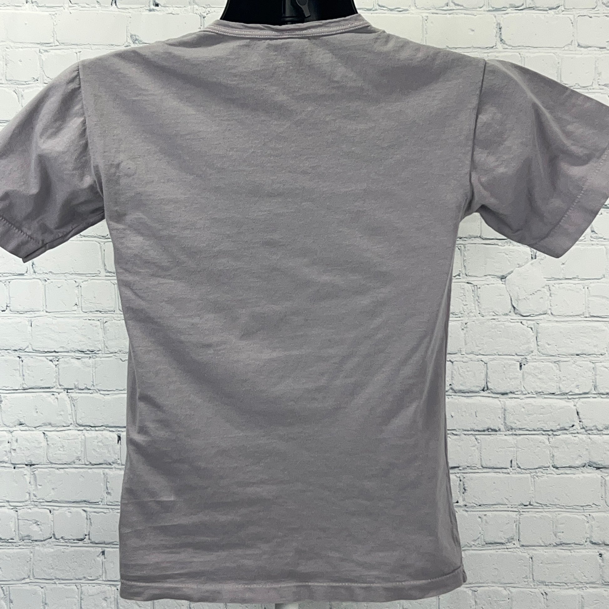 Vintage 80s Machu Picchu T Shirt Cusco Peru Machupicchu Inca Gray Tee XS X-Small - Neon Vintage