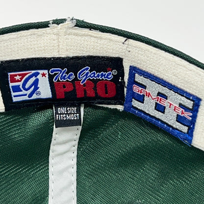 Colorado State Rams Hat Baseball Cap A-Flex Fitted OSFM Green CSU The Game NCAA