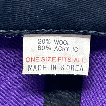 Vintage 90s Minnesota Vikings Cris Carter Hat Baseball Cap Purple NFL Snapback