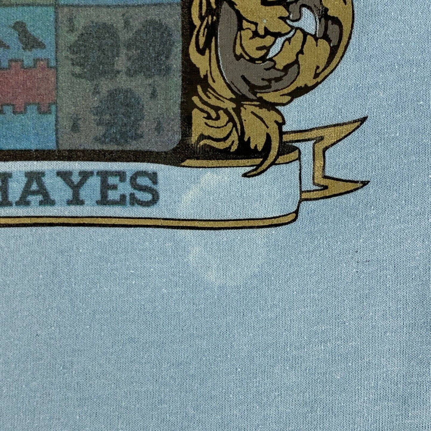 Camiseta vintage de los años 80 con escudo de la familia Hayes, apellido, escudo de armas grande, para hombre, color azul