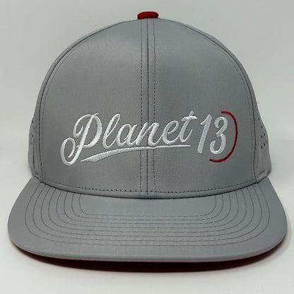 Planet 13 Las Vegas Hat Baseball Cap Marijuana Dispensary Weed Snapback Gray