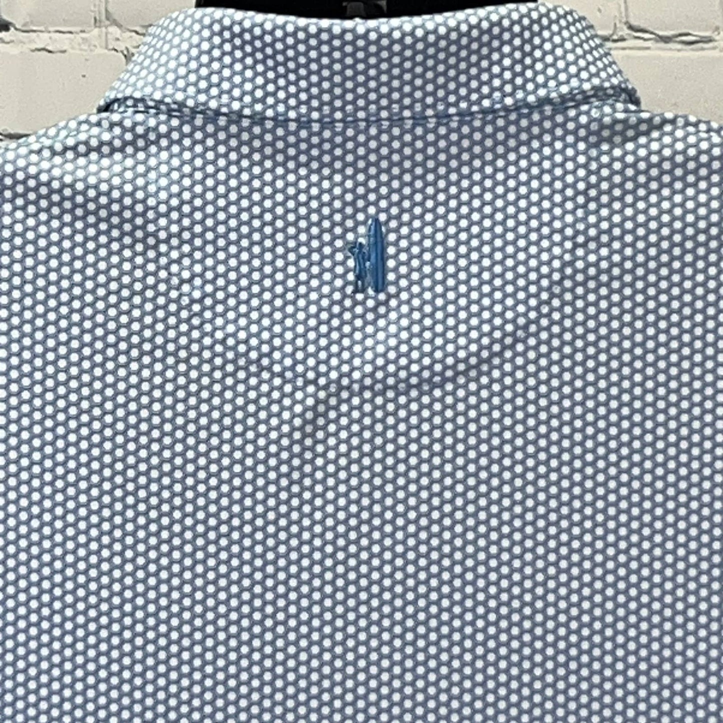 Johnnie-O shirt and polo in light blue with a dotted pattern, back view