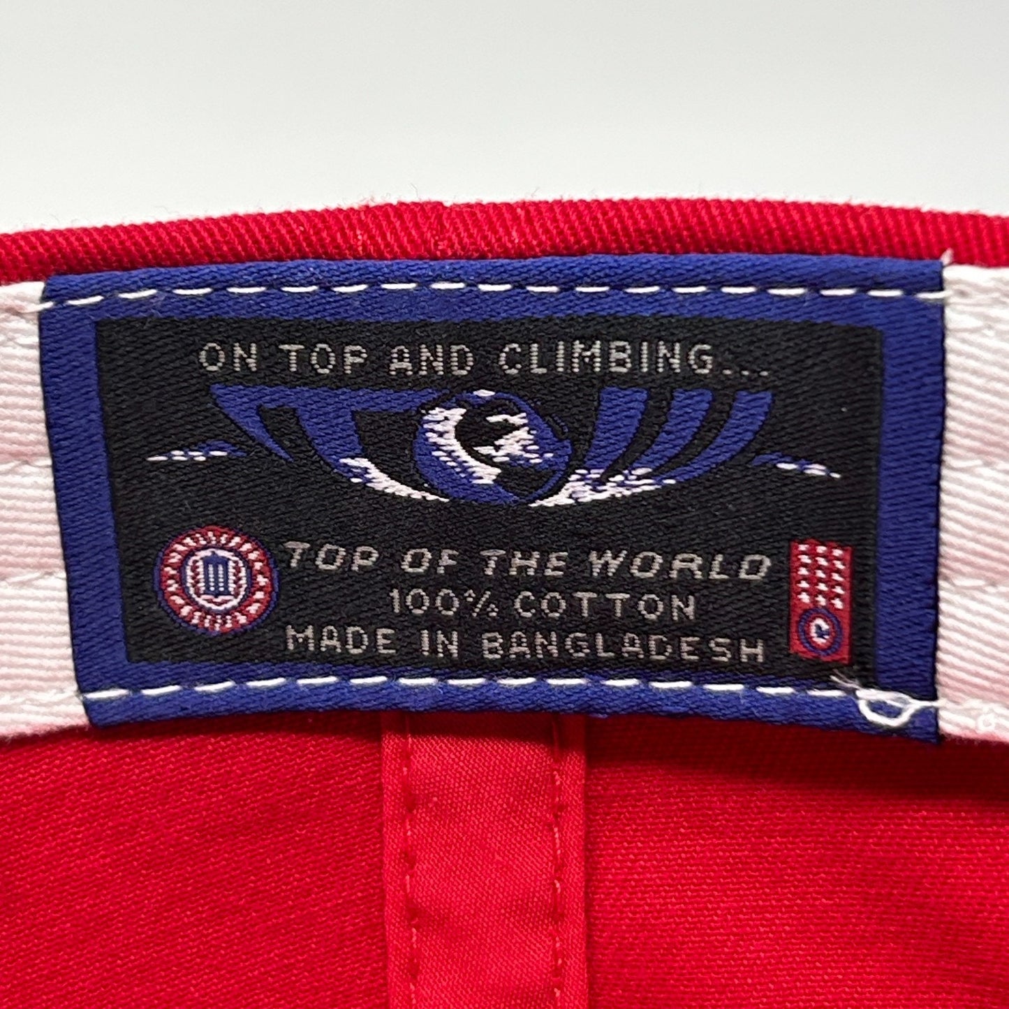 Louisville Cardinals Dad Hat Baseball Cap NCAA University UofL TOW Strapback Red - Neon Vintage