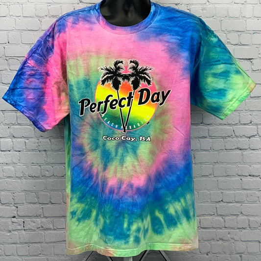 Perfect Day at Coco Cay T Shirt XL X-Large Blue Pink Tie Dye Bahamas Cruise Tee