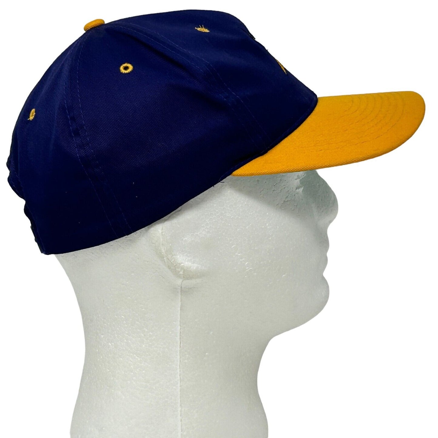 Gorra de béisbol de fútbol americano de la NFL vintage de los Minnesota Vikings, color morado, años 90, con cierre a presión