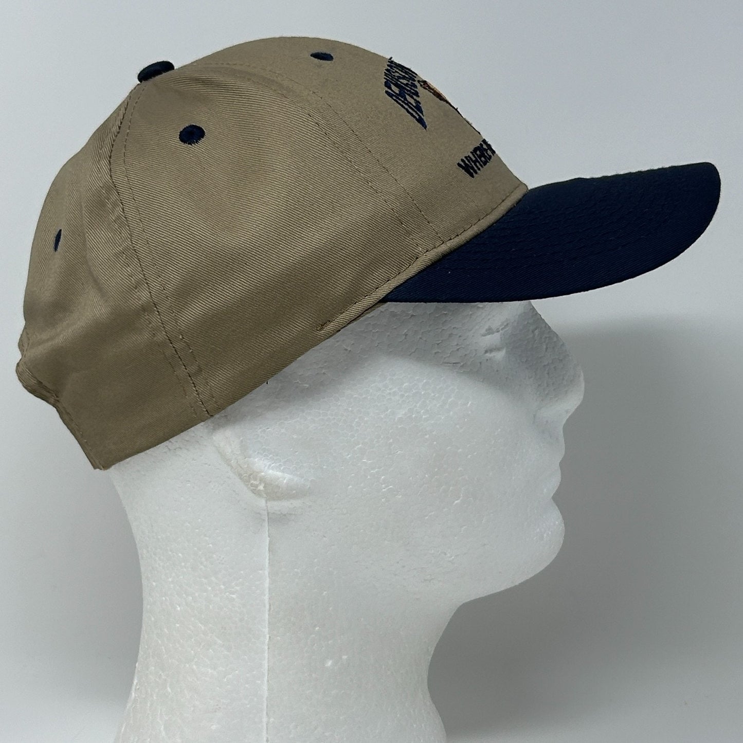 Vintage 90s Denison Livestock Auction Hat Baseball Cap Iowa Bulls Snapback Beige