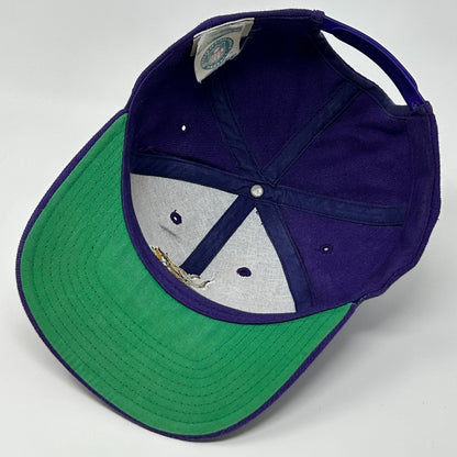 Vintage 90s Minnesota Vikings Hat Cap Purple NFL Snapback Twins Enterprise