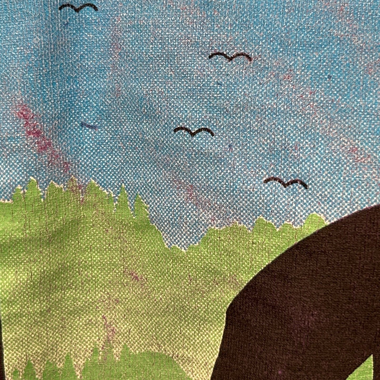 Vintage Fairbanks Alaska Mountain Biking T Shirt Mens L Large Purple 90s Biker