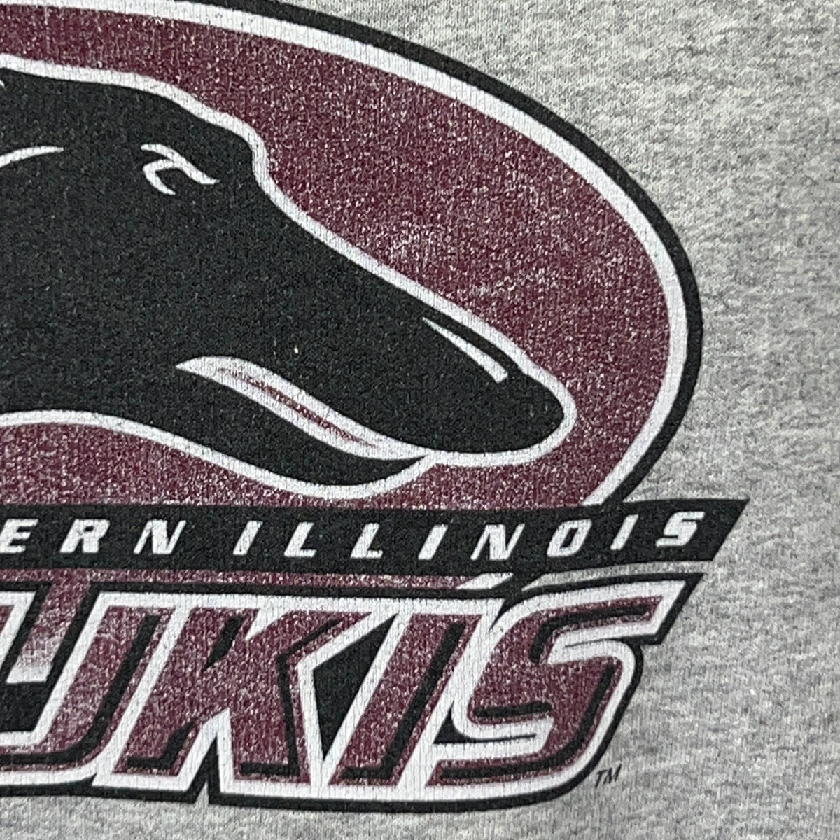 Vintage Champion Southern Illinois Salukis Sweatshirt Gray SIU College 2XL XXL