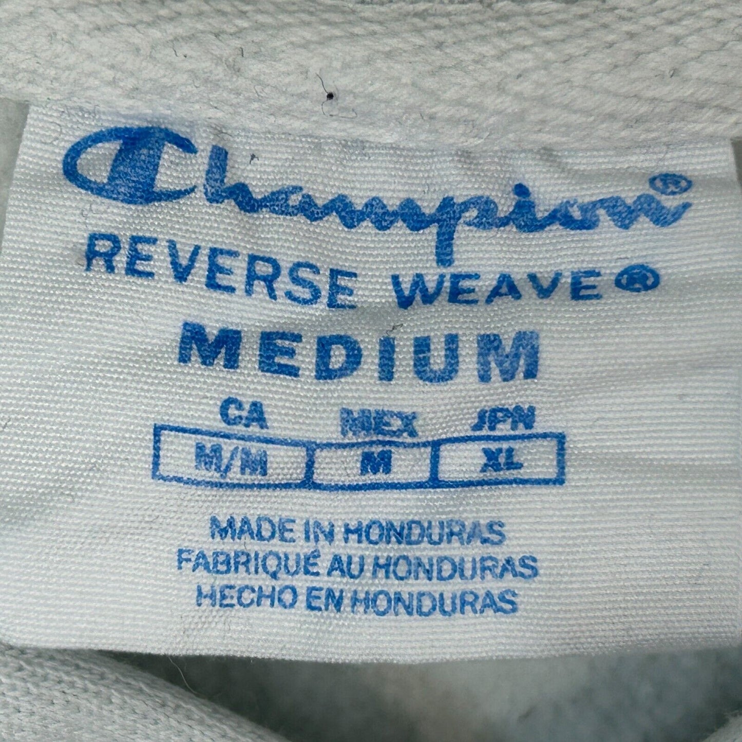 Champion 渐变色反向编织连帽运动衫 中号 连帽衫 男款 绿色