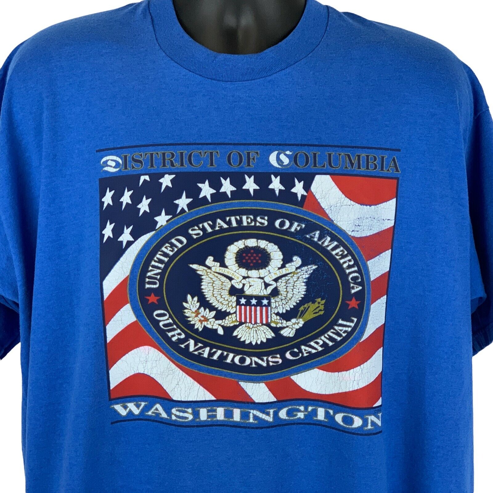 Fruit of the Loom Blue T-Shirt featuring Washington DC graphic on the front with patriotic design