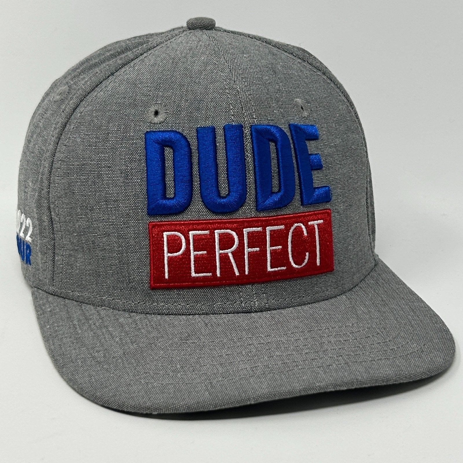 Dude Perfect Gray Cap with Embroidered 'DUDE' and 'PERFECT' Patches in Bold Colors