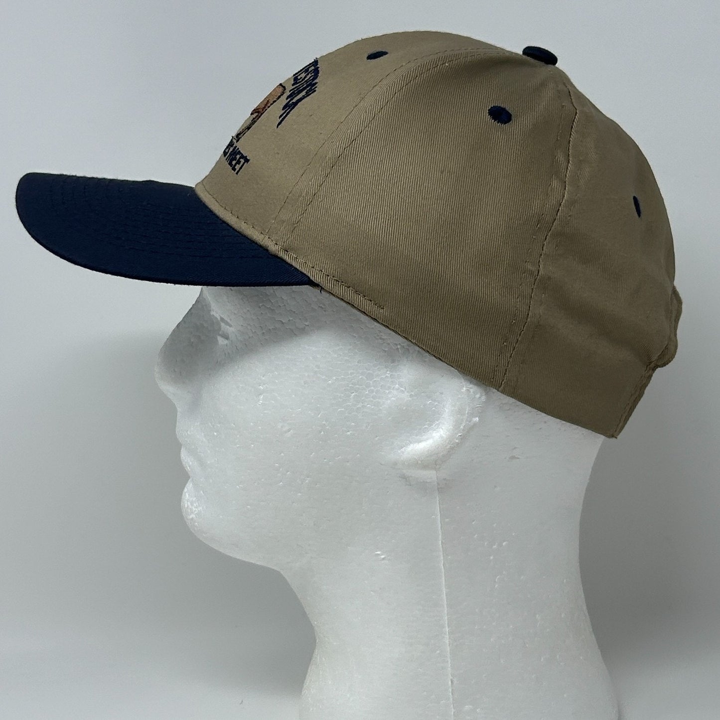 Vintage 90s Denison Livestock Auction Hat Baseball Cap Iowa Bulls Snapback Beige