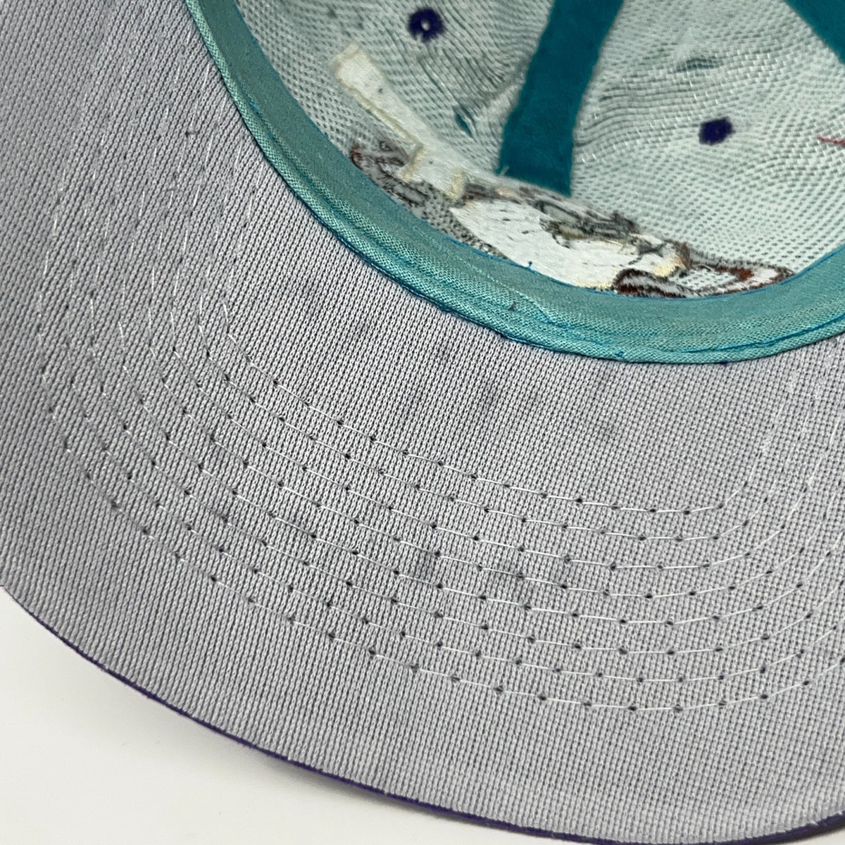 Vintage Taz Tasmanian Devil Teal Purple Snapback Hat Baseball Cap Looney Tunes