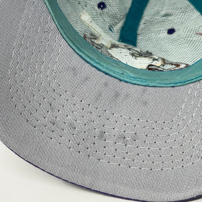 Vintage Taz Tasmanian Devil Teal Purple Snapback Hat Baseball Cap Looney Tunes