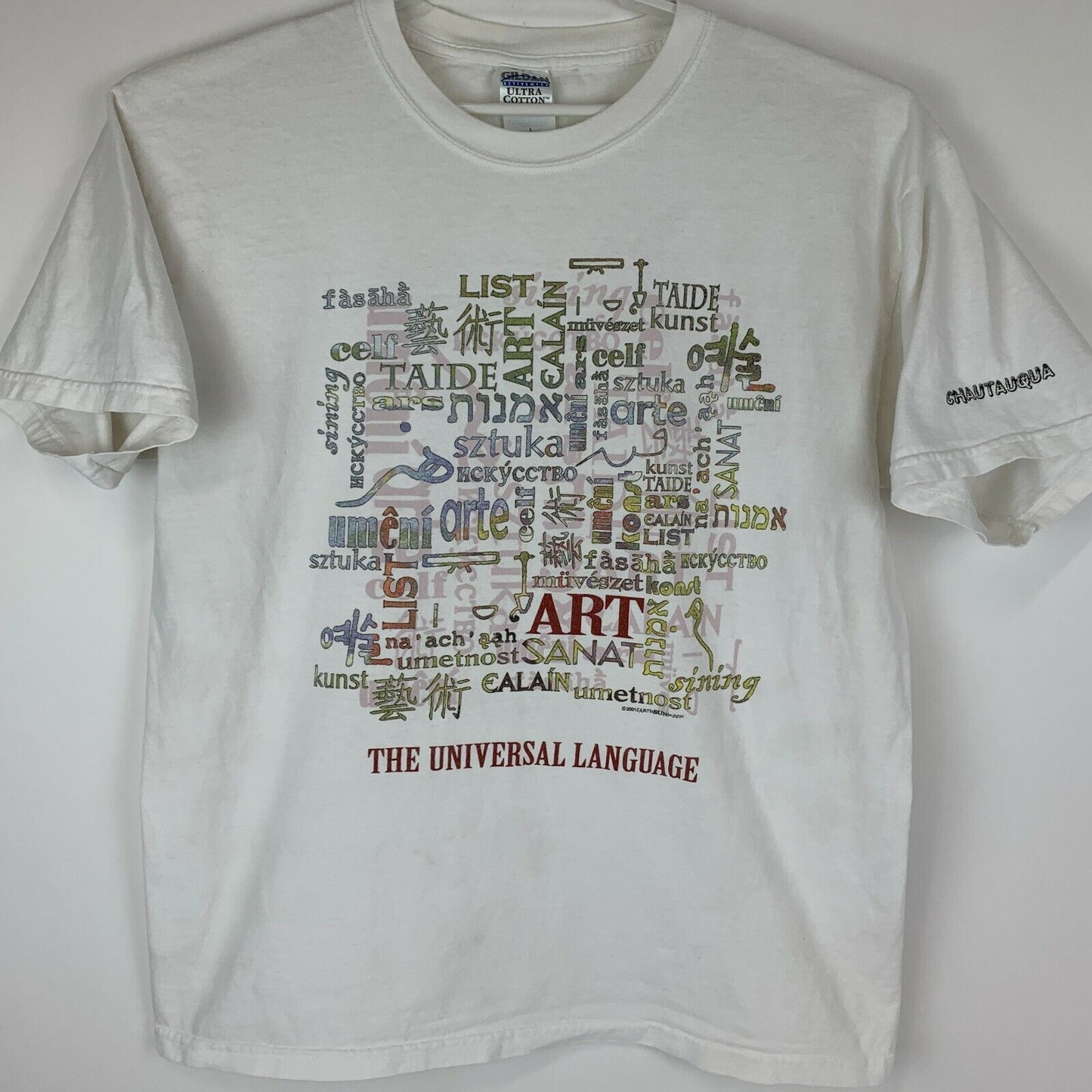Art The Universal Language Vintage Y2Ks T Shirt Artist Chautauqua New York Large