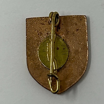 Vintage Salzburg Coat of Arms Hat Lapel Pin Pinback Button Austria Travel